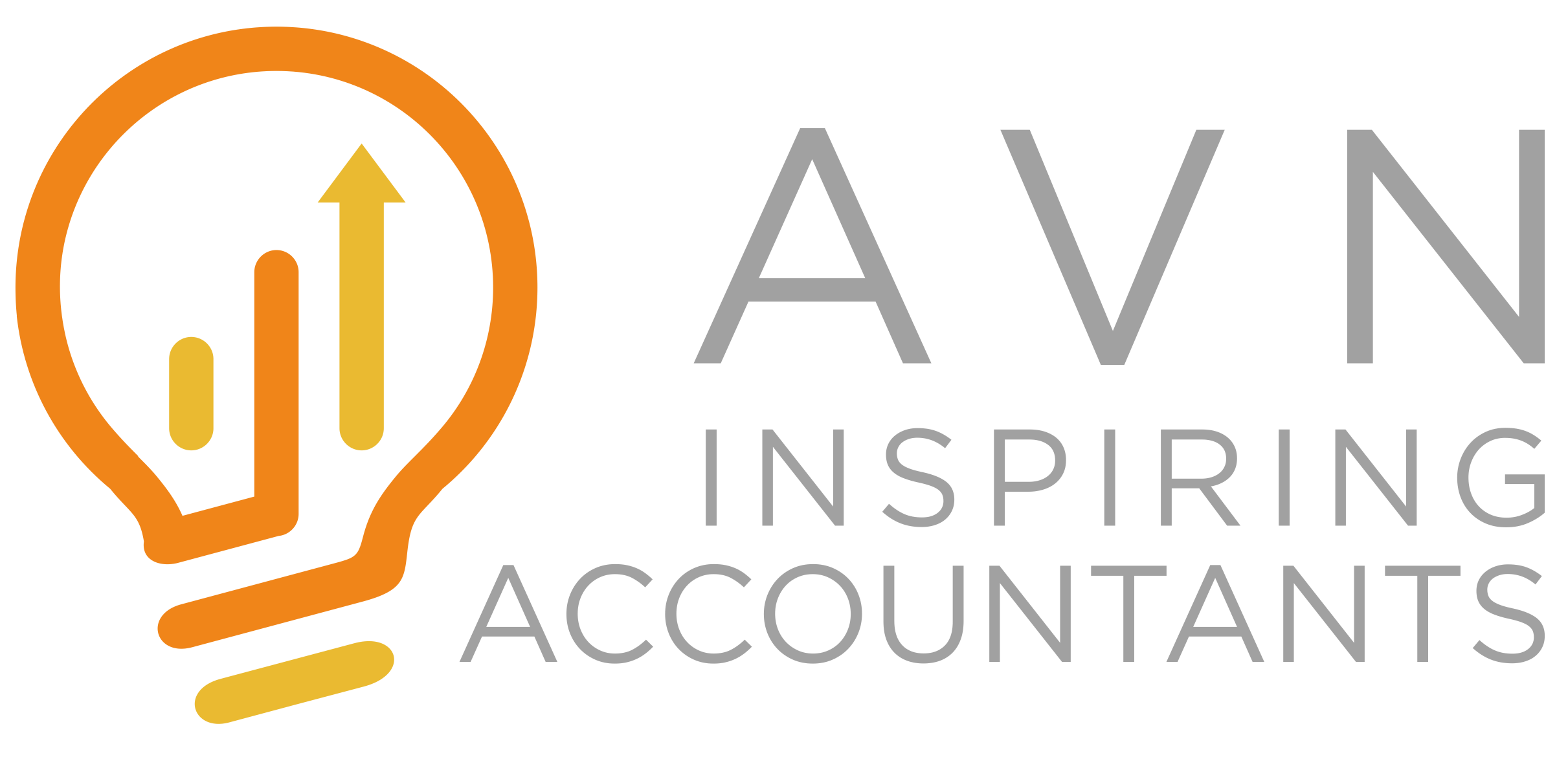 AVN LOGO