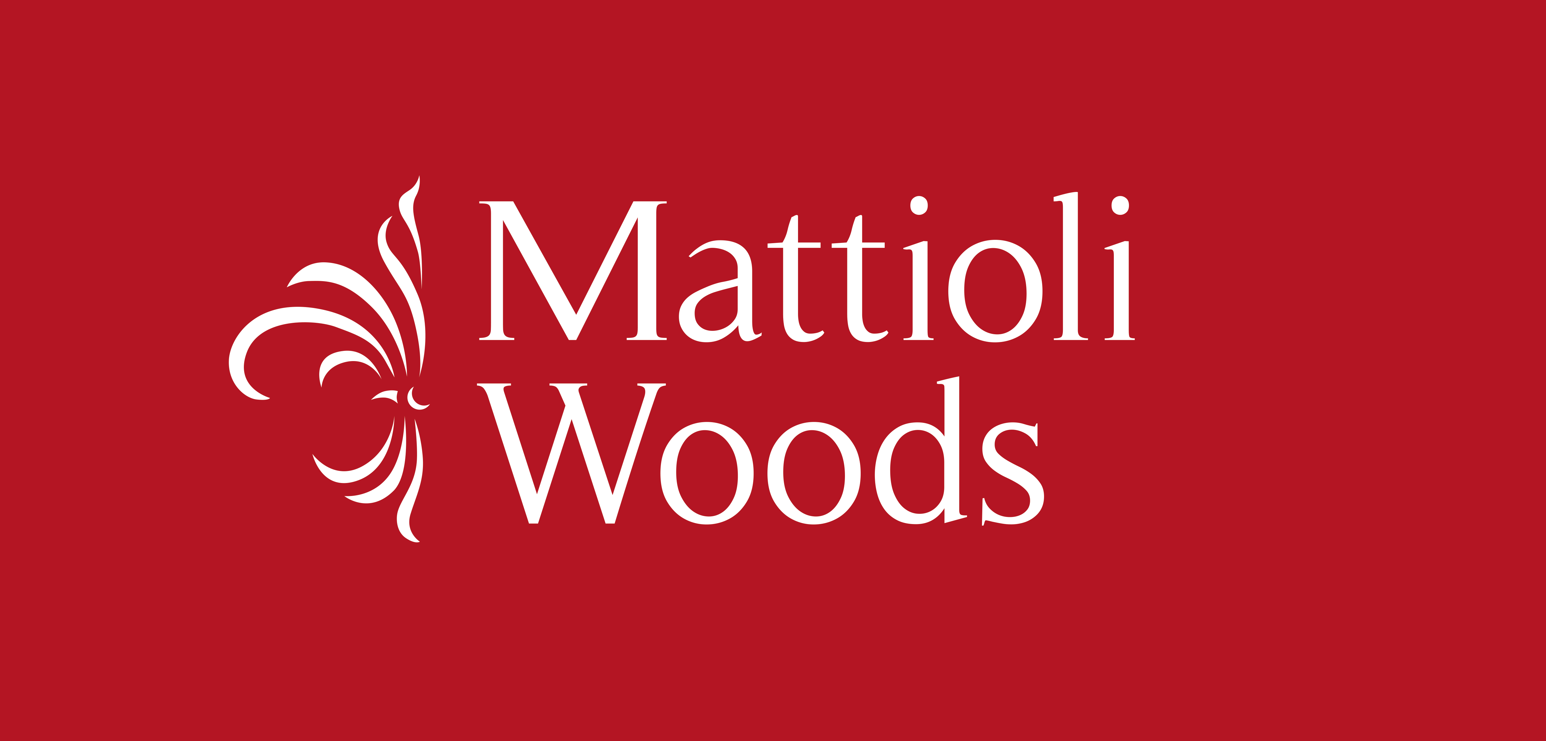 Mattioli Woods Stacked Logo NO PLC 1 